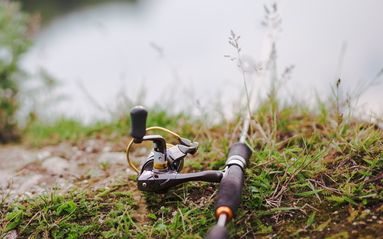 Fiskestang - Stockphoto