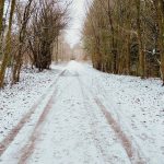 Sne og vintervejr - Foto: René Holm